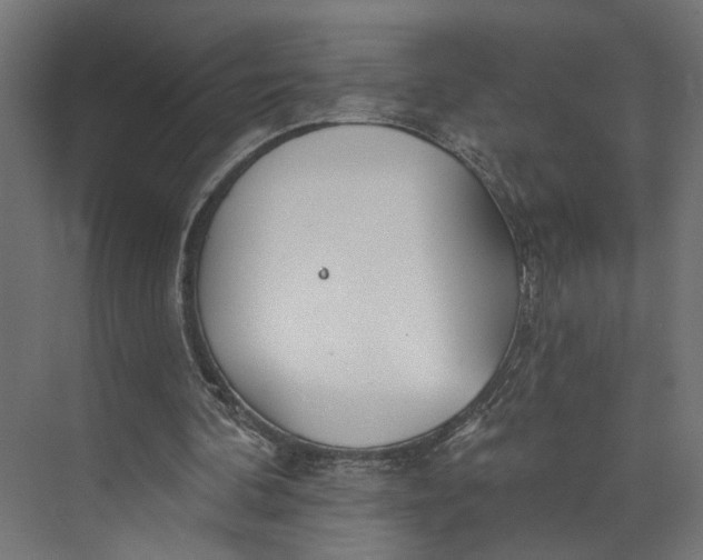 X0000073710292200608241450