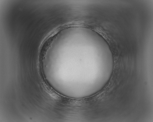 X0000073710293200608241450