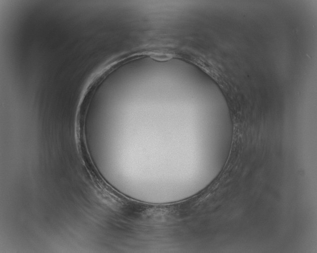 X0000073710294200608241450