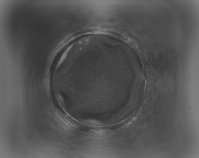 X0000073710295200608241450