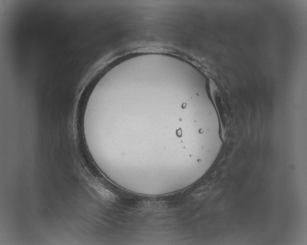 X0000073710296200608241450