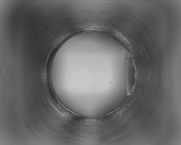 X0000073710298200608241450