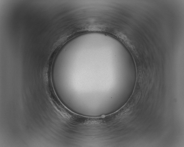 X0000073710299200608241450