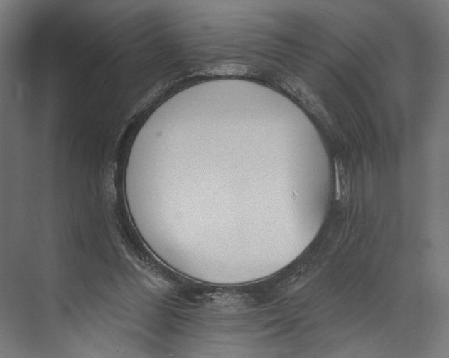 X0000073710300200608241450