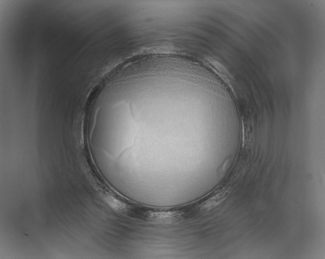 X0000073710301200608241450