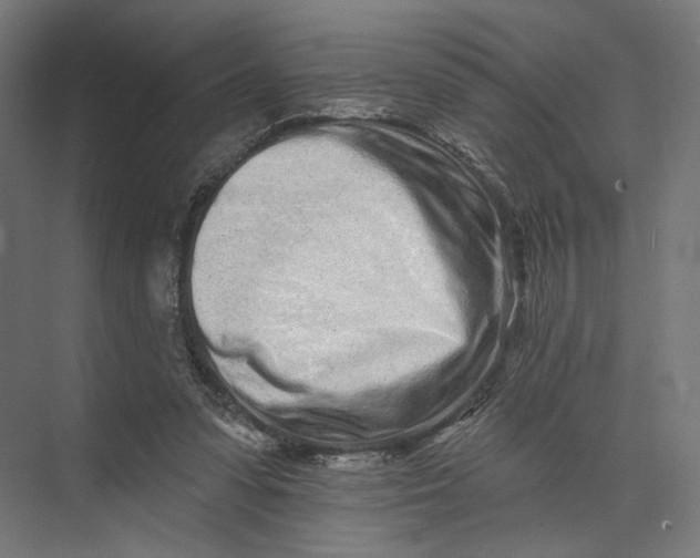 X0000073710303200608241450