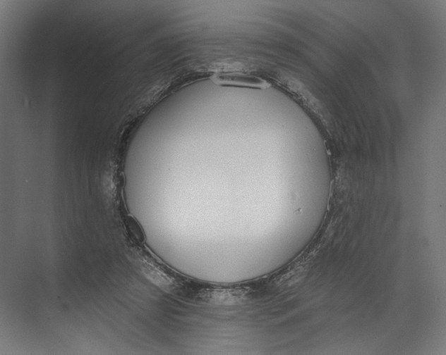 X0000073710305200608241450