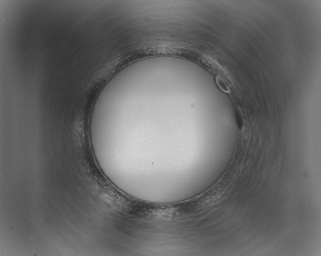 X0000073710306200608241450