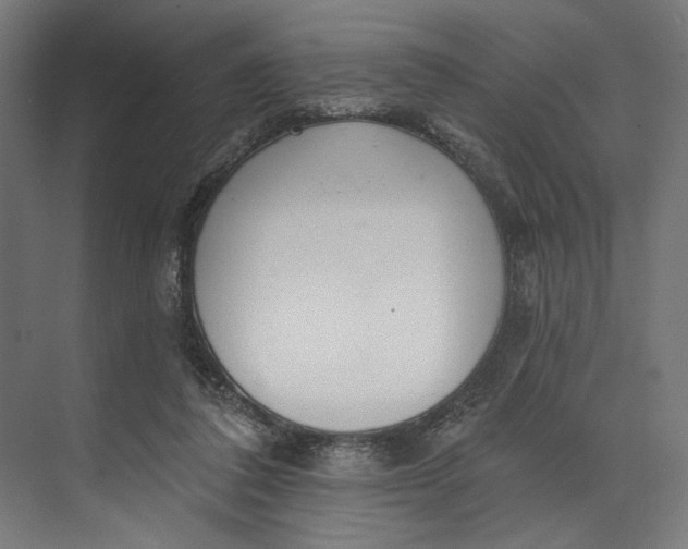 X0000073710308200608241450