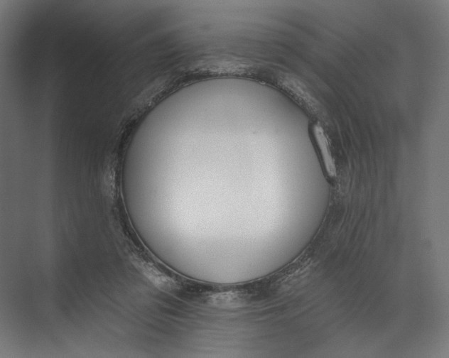 X0000073710309200608241450