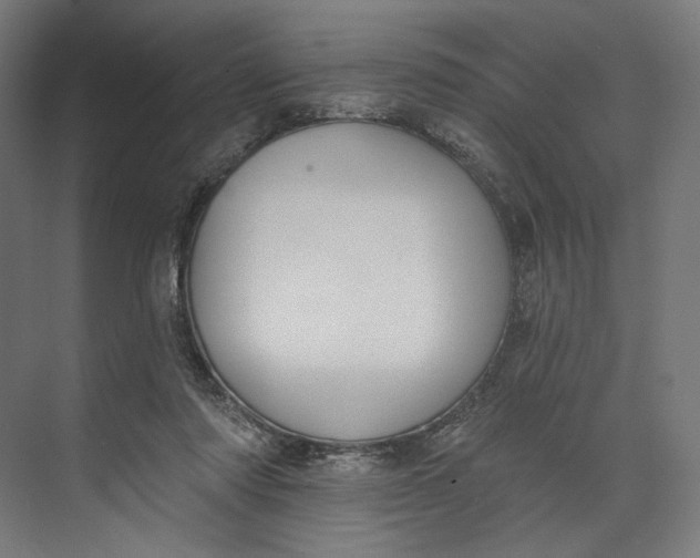 X0000073710310200608241450