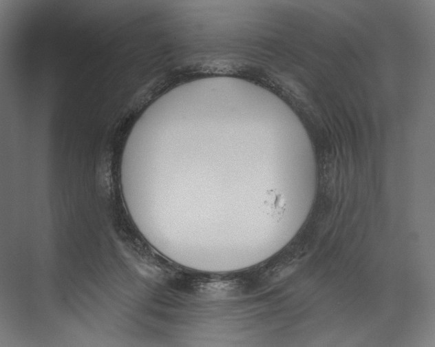 X0000073710312200608241450