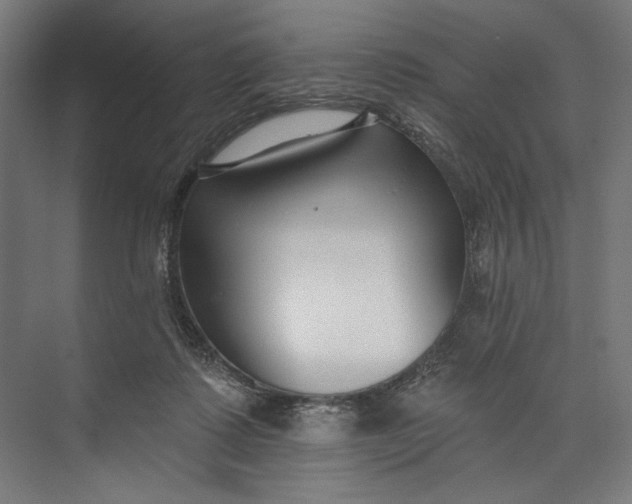 X0000073710315200608241450