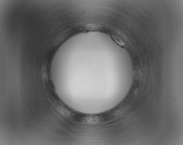 X0000073710317200608241450