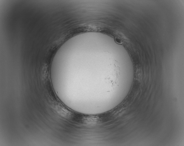 X0000073710318200608241450