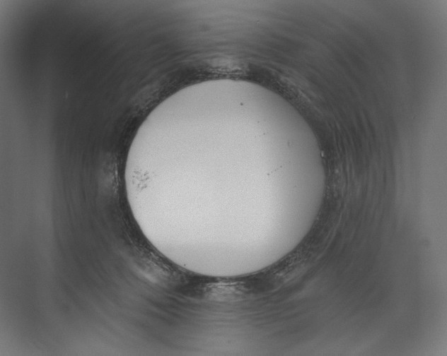 X0000073710320200608241450