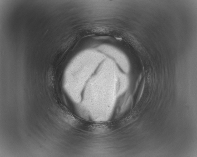 X0000073710322200608241449