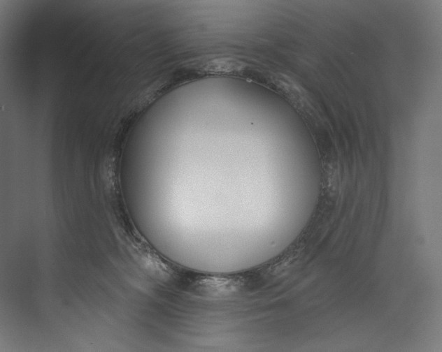 X0000073710326200608241449