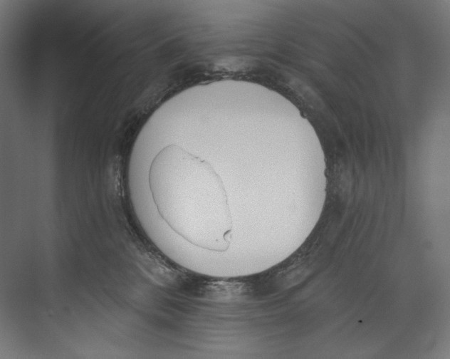 X0000073710328200608241449