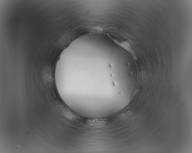 X0000073710331200608241449