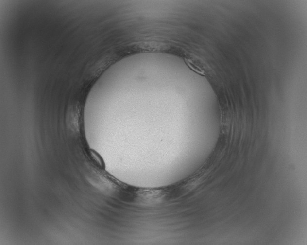 X0000073710334200608241449