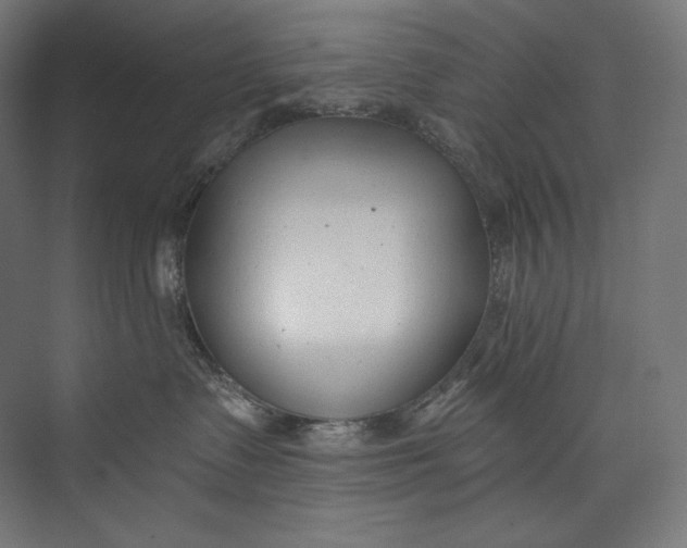 X0000073710335200608241449