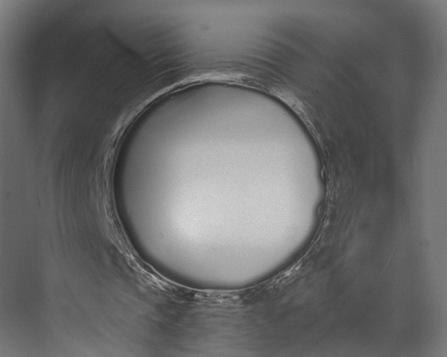 X0000073710337200608241448