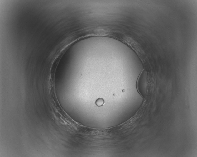 X0000073710338200608241448