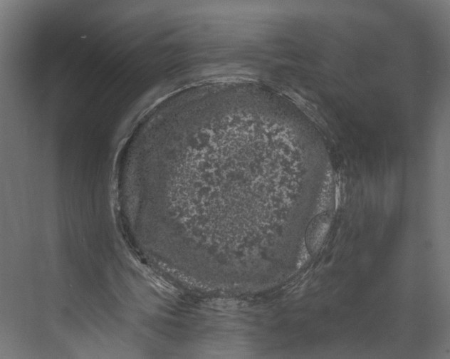 X0000073710339200608241448