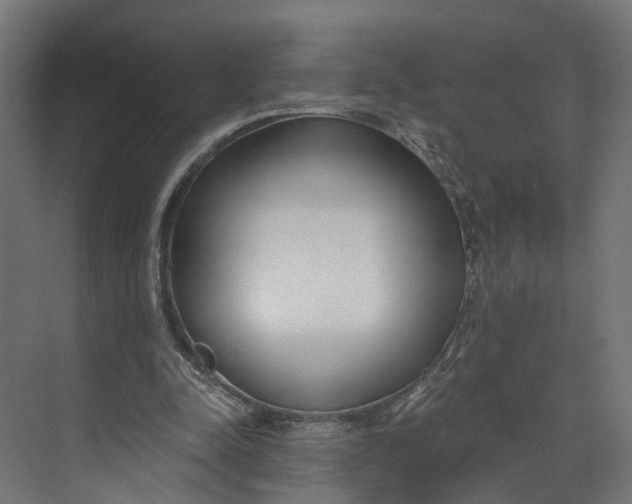 X0000073710342200608241449