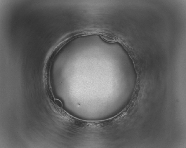 X0000073710343200608241449