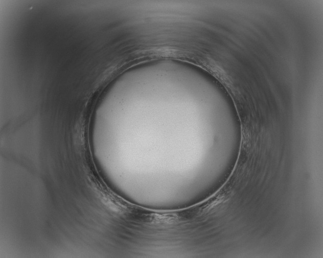 X0000073710347200608241449