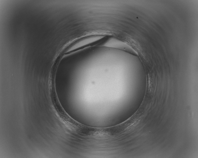 X0000073710348200608241449