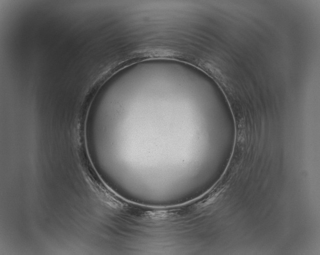 X0000073710351200608241449