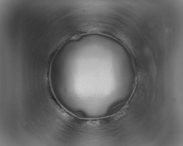 X0000073710353200608241449