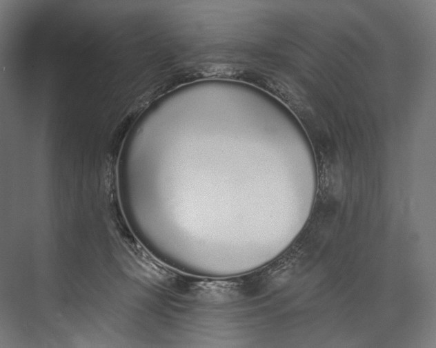 X0000073710367200608241449