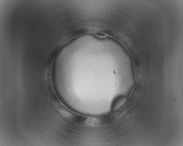 X0000073710369200608241449