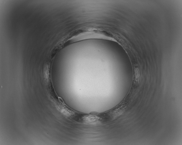 X0000073710372200608241449