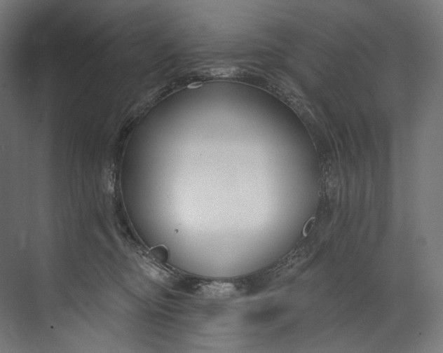 X0000073710374200608241449