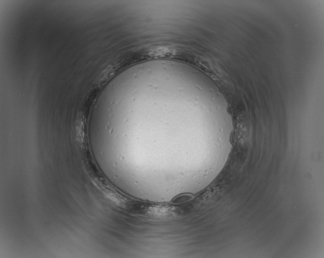 X0000073710375200608241449