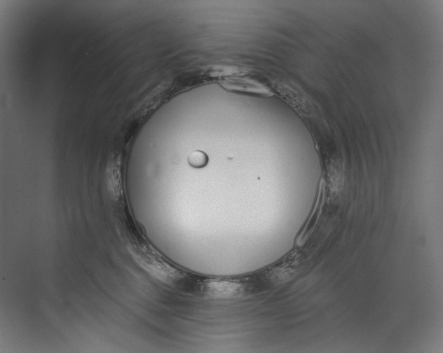 X0000073710376200608241449