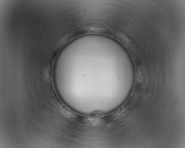 X0000073710377200608241449