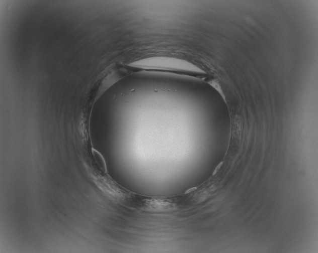 X0000073710380200608241449