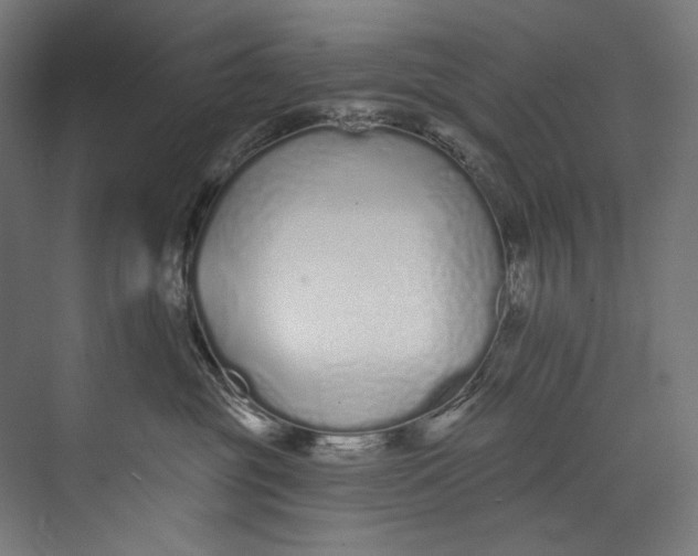 X0000073710381200608241449