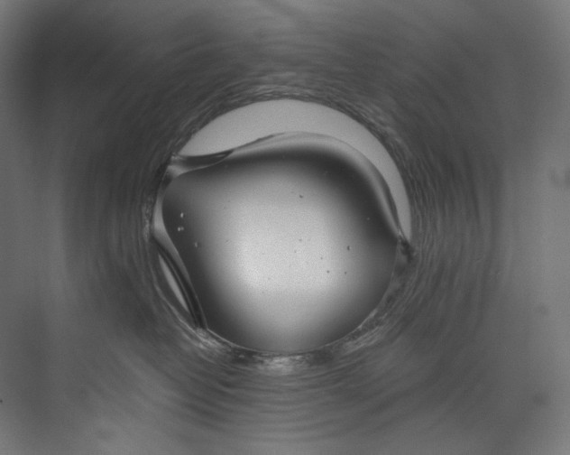 X0000073710382200608241449