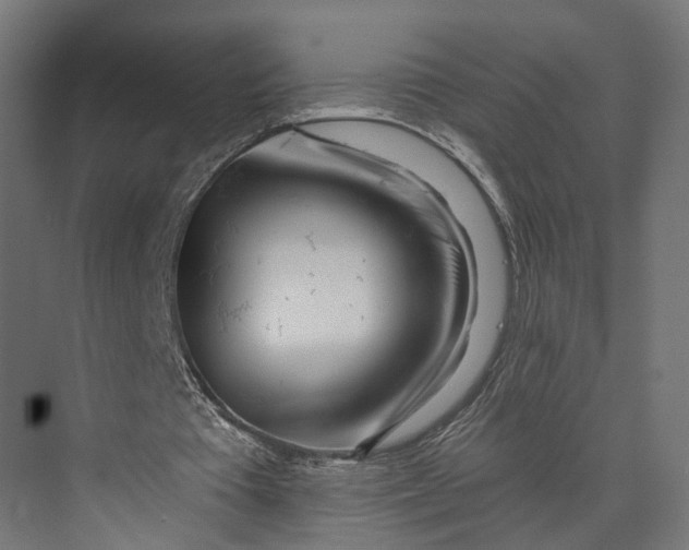 X0000073710385200608241448