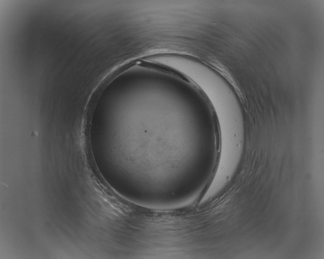 X0000073710387200608241448