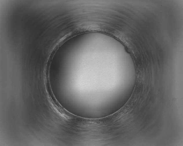 X0000073710390200608241448