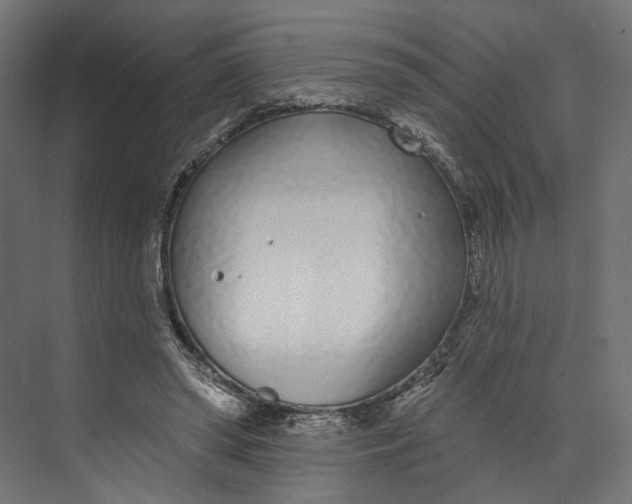 X0000073710398200608241448