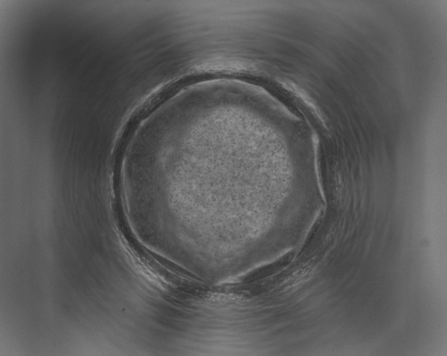 X0000073710399200608241448